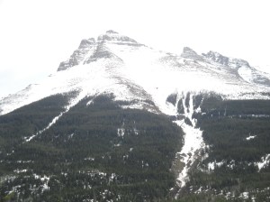  Mt Vimy Waterton Park