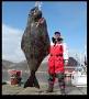 largest halibut caught