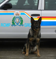 police dog